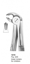  Fig. 22S lower molars for children 